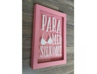 QUADRO COFRE DECORATIVO PARA O MEU SILICONE